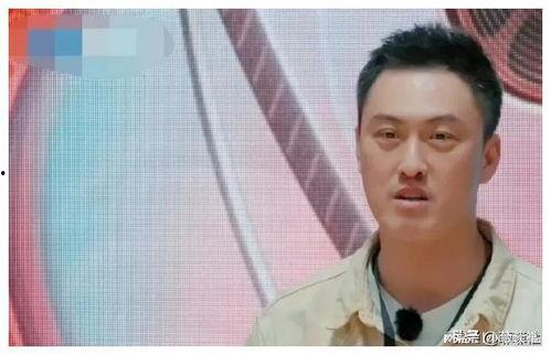 娱乐圈吃瓜爆料神图,神图背后的惊人爆料