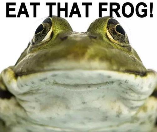 娱乐圈吃瓜酱青蛙,揭秘明星背后的故事